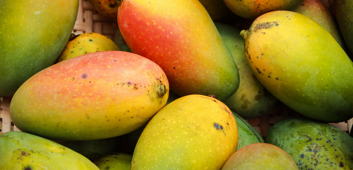 Benefits of Delicious Organic Mango